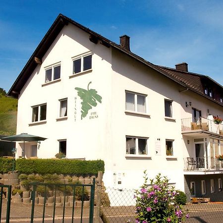 Weingut-Brennerei-Gaestehaus Emil Dauns Рейл Экстерьер фото