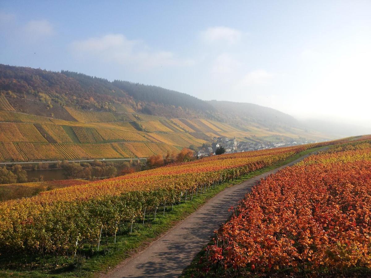 Weingut-Brennerei-Gaestehaus Emil Dauns Рейл Экстерьер фото