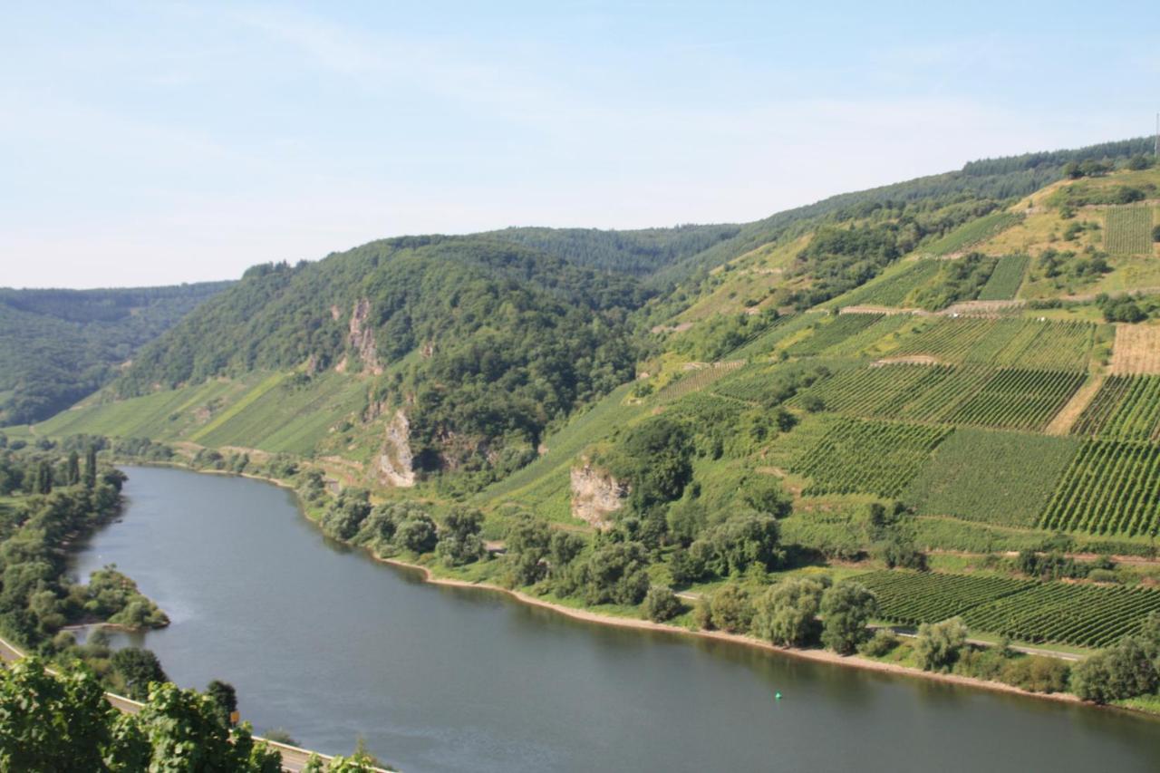 Weingut-Brennerei-Gaestehaus Emil Dauns Рейл Экстерьер фото