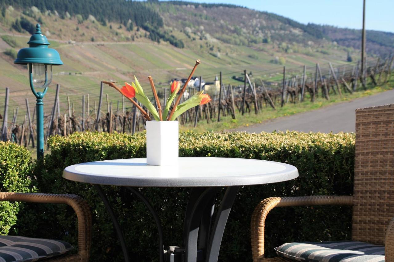 Weingut-Brennerei-Gaestehaus Emil Dauns Рейл Экстерьер фото