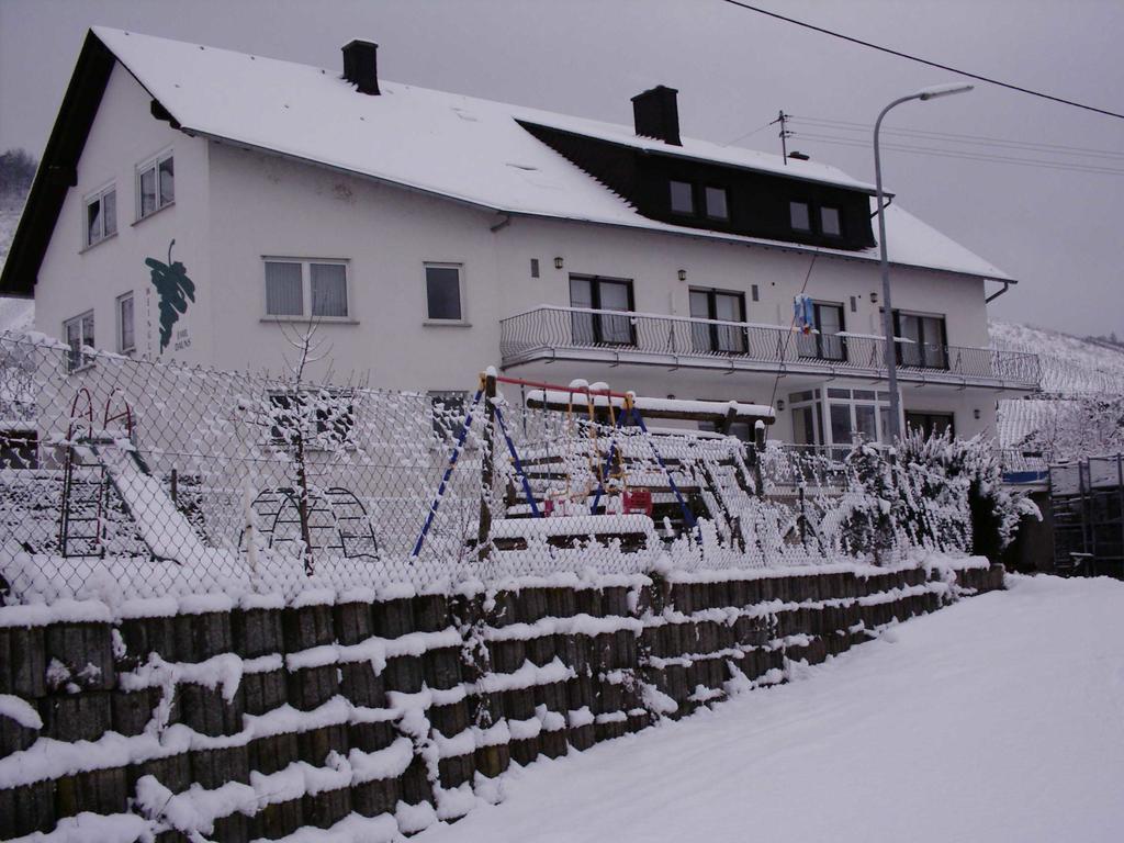 Weingut-Brennerei-Gaestehaus Emil Dauns Рейл Экстерьер фото