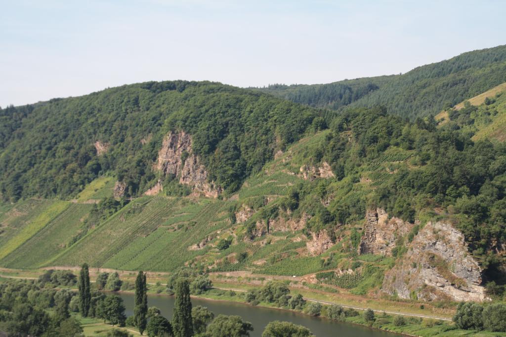 Weingut-Brennerei-Gaestehaus Emil Dauns Рейл Экстерьер фото