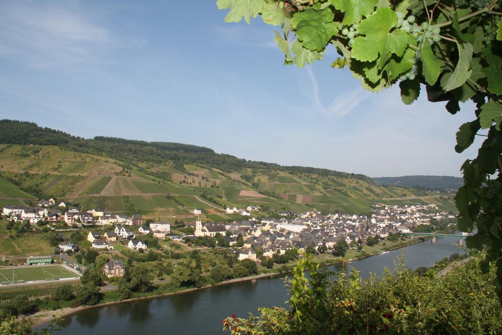 Weingut-Brennerei-Gaestehaus Emil Dauns Рейл Экстерьер фото