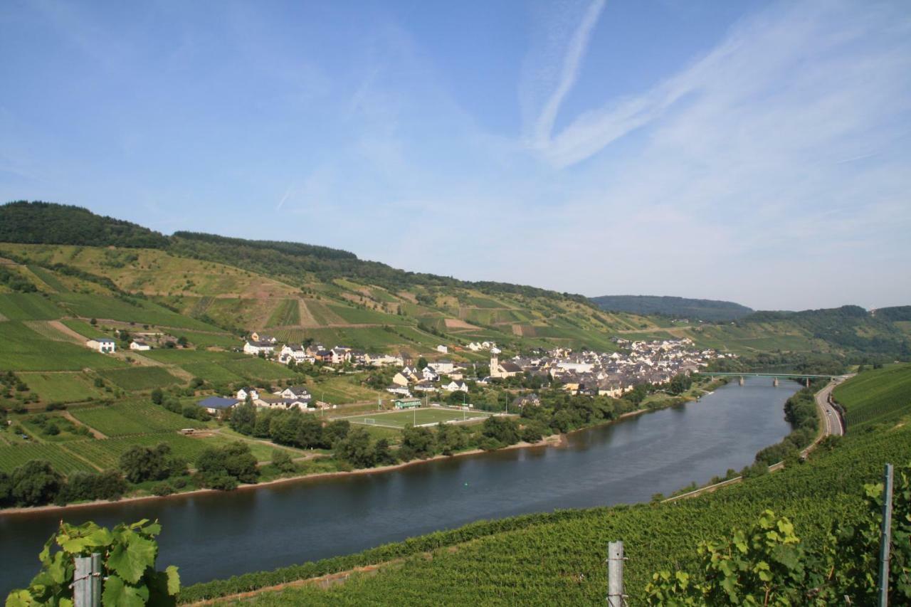 Weingut-Brennerei-Gaestehaus Emil Dauns Рейл Экстерьер фото